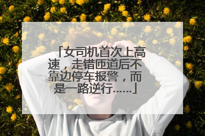 女司机首次上高速，走错匝道后不靠边停车报警，而是一路逆行……