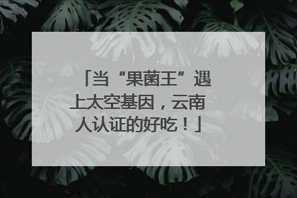 当“果菌王”遇上太空基因，云南人认证的好吃！