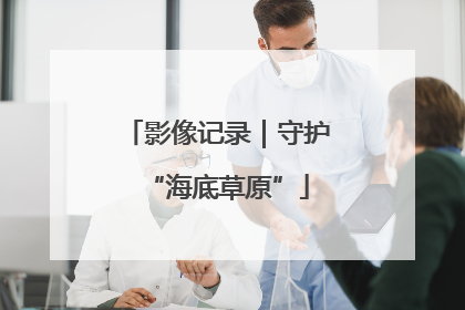 影像记录｜守护“海底草原”