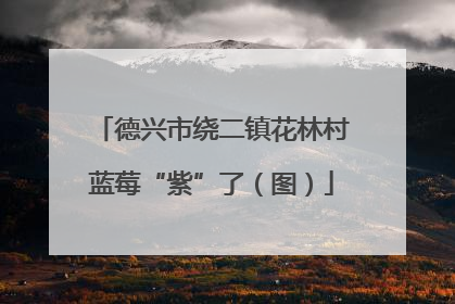 德兴市绕二镇花林村蓝莓“紫”了（图）