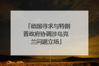 德国寻求与特朗普政府协调涉乌克兰问题立场