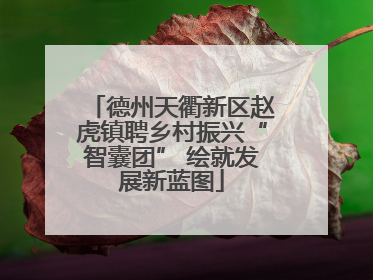 德州天衢新区赵虎镇聘乡村振兴“智囊团” 绘就发展新蓝图