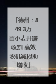德州：849.3万亩小麦开镰收割 高效农机减损助增收