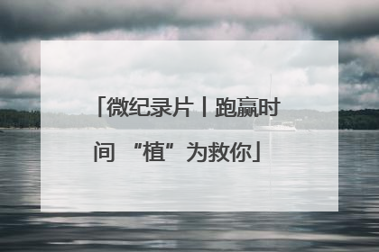 微纪录片丨跑赢时间 “植”为救你