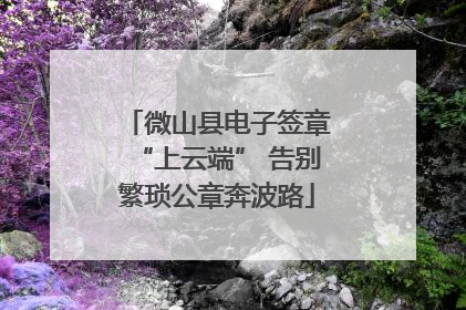 微山县电子签章“上云端” 告别繁琐公章奔波路