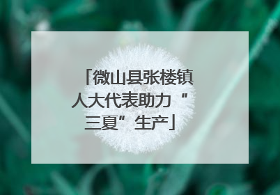 微山县张楼镇人大代表助力“三夏”生产