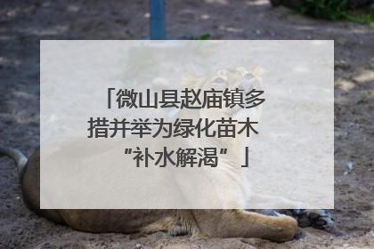 微山县赵庙镇多措并举为绿化苗木“补水解渴”