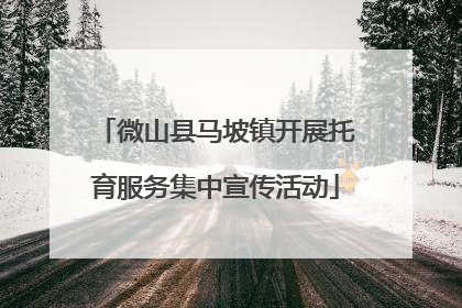 微山县马坡镇开展托育服务集中宣传活动