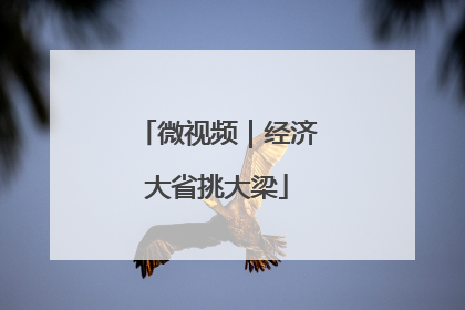 微视频｜经济大省挑大梁