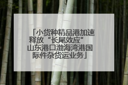 小货种精品港加速释放“长尾效应” 山东港口渤海湾港国际件杂货运业务