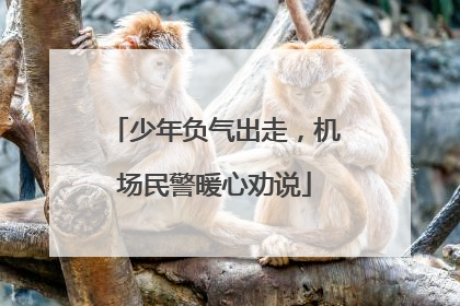少年负气出走，机场民警暖心劝说