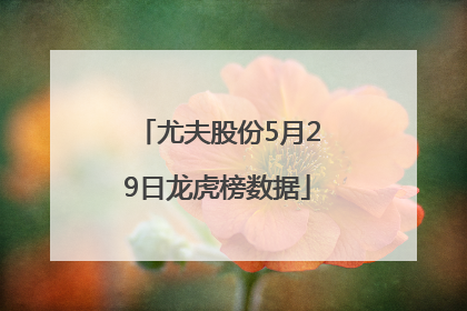 尤夫股份5月29日龙虎榜数据