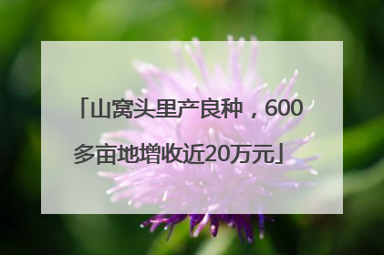 山窝头里产良种，600多亩地增收近20万元