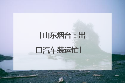 山东烟台：出口汽车装运忙