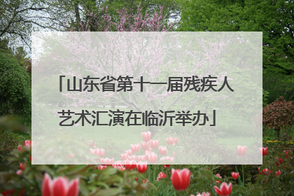 山东省第十一届残疾人艺术汇演在临沂举办