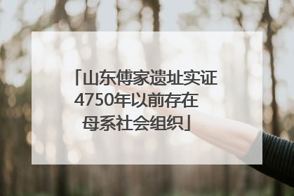 山东傅家遗址实证4750年以前存在母系社会组织