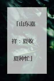 山东嘉祥：夏收夏种忙