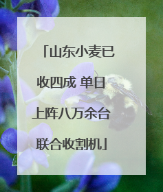 山东小麦已收四成 单日上阵八万余台联合收割机