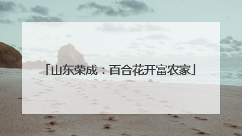 山东荣成：百合花开富农家