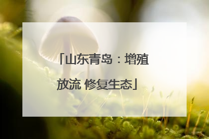 山东青岛：增殖放流 修复生态