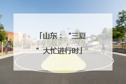 山东：“三夏”大忙进行时