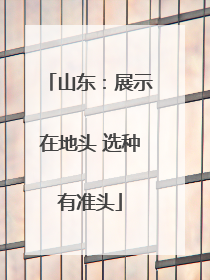 山东：展示在地头 选种有准头