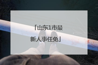 山东1市最新人事任免