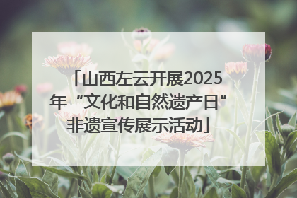 山西左云开展2025年“文化和自然遗产日”非遗宣传展示活动