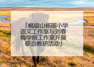 峨眉山杨丽小学语文工作室与刘春梅学前工作室开展联合教研活动