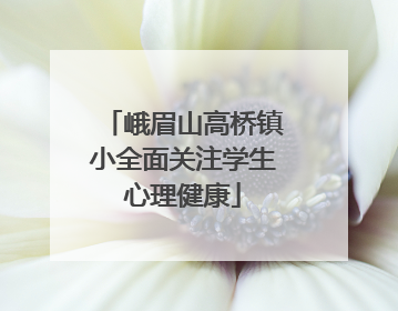 峨眉山高桥镇小全面关注学生心理健康