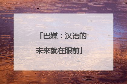 巴媒：汉语的未来就在眼前