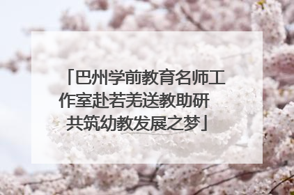 巴州学前教育名师工作室赴若羌送教助研 共筑幼教发展之梦
