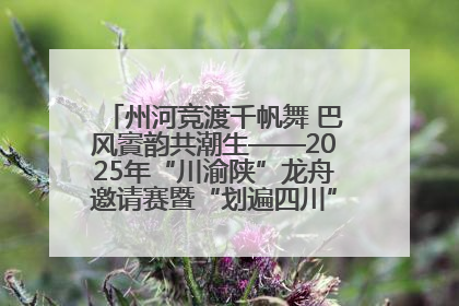 州河竞渡千帆舞 巴风賨韵共潮生——2025年“川渝陕”龙舟邀请赛暨“划遍四川”达川站圆满收官