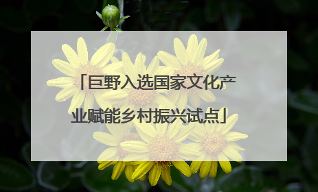 巨野入选国家文化产业赋能乡村振兴试点