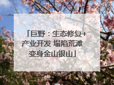 巨野：生态修复+产业开发 塌陷荒滩变身金山银山