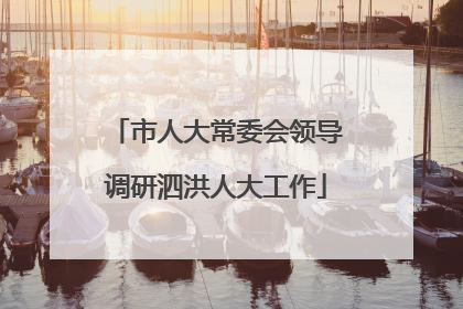 市人大常委会领导调研泗洪人大工作