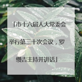 市十六届人大常委会举行第三十次会议，罗缵吉主持并讲话