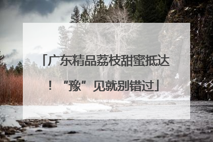 广东精品荔枝甜蜜抵达！“豫”见就别错过