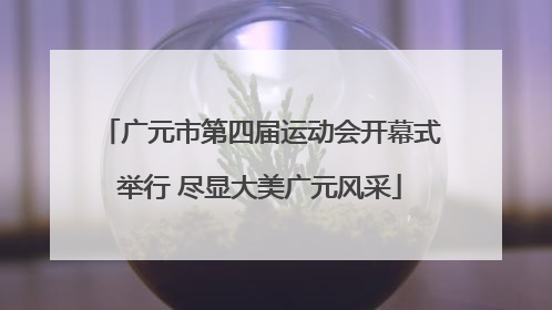 广元市第四届运动会开幕式举行 尽显大美广元风采