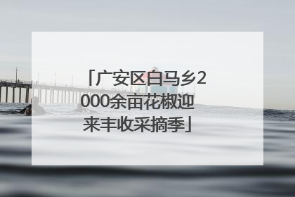 广安区白马乡2000余亩花椒迎来丰收采摘季