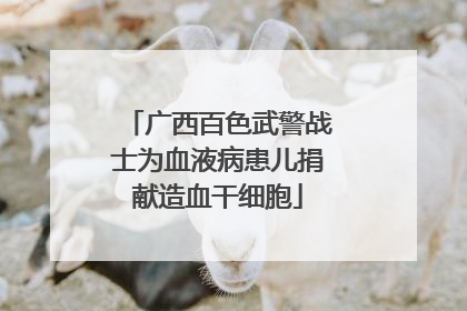 广西百色武警战士为血液病患儿捐献造血干细胞