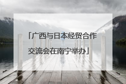 广西与日本经贸合作交流会在南宁举办