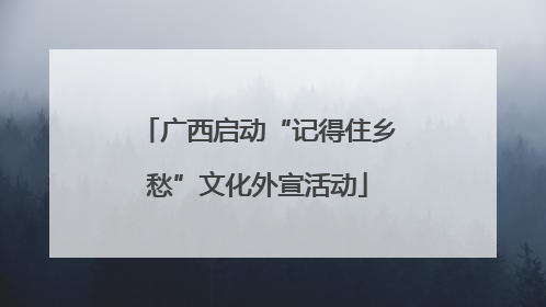 广西启动“记得住乡愁”文化外宣活动