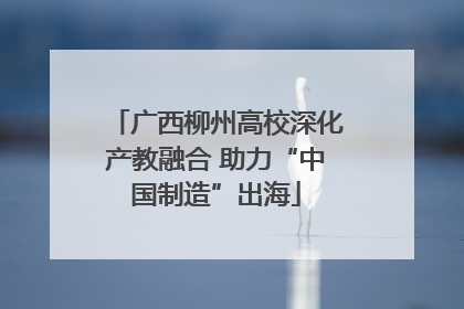 广西柳州高校深化产教融合 助力“中国制造”出海