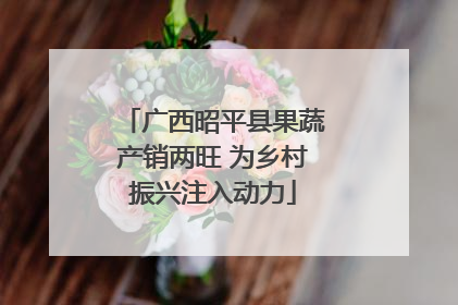 广西昭平县果蔬产销两旺 为乡村振兴注入动力