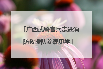 广西武警官兵走进消防救援队参观见学