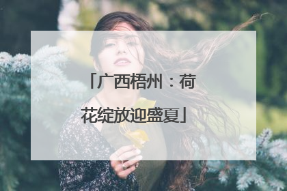 广西梧州：荷花绽放迎盛夏