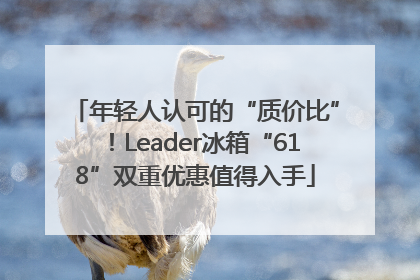 年轻人认可的“质价比”！Leader冰箱“618”双重优惠值得入手