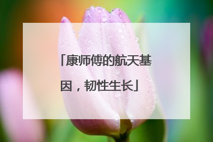 康师傅的航天基因，韧性生长