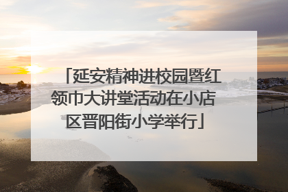 延安精神进校园暨红领巾大讲堂活动在小店区晋阳街小学举行
